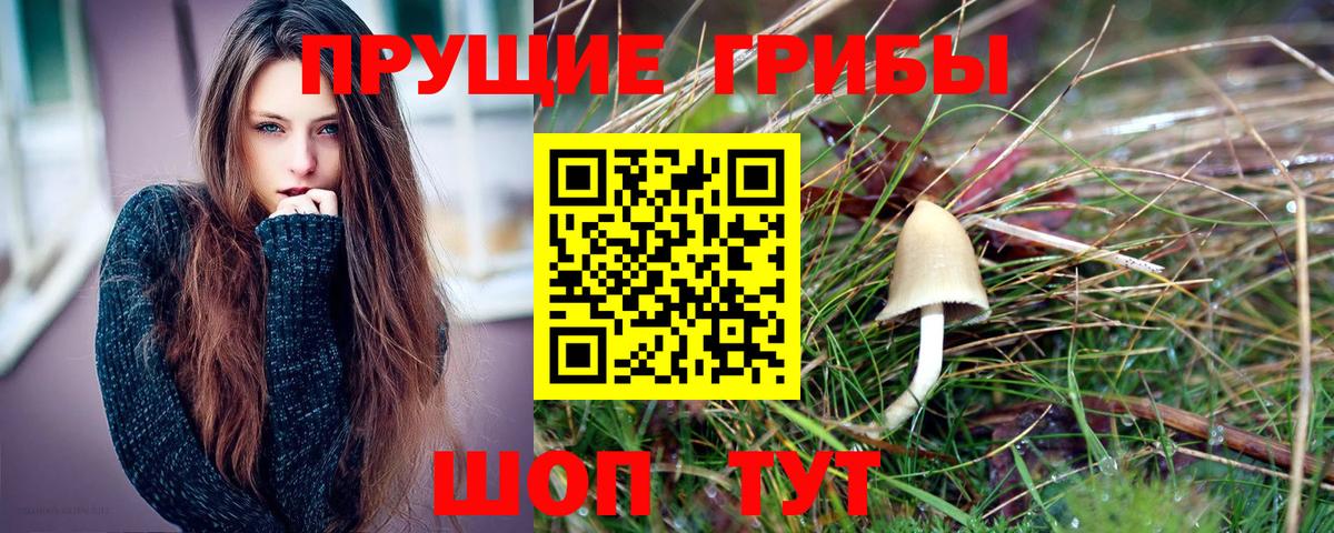 Галлюциногенные грибы ЛСД  Галлюциногенные грибы Psilocybe  Вход с VPN  Зима 